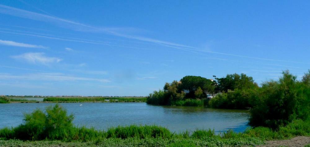 Mas Des Cabidoules Panzió Saintes-Maries-de-la-Mer Kültér fotó